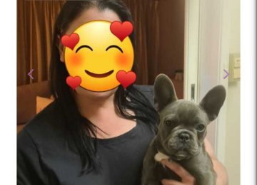 KED1979 from New South Wales,Australia